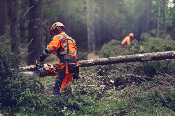 Бензопила Husqvarna 564XP (9707114-18) изображение 6