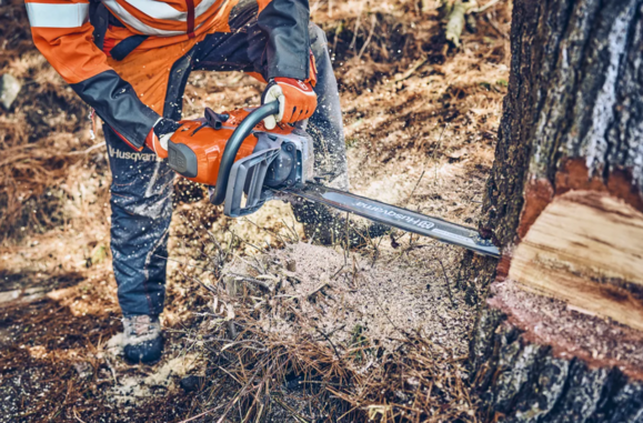 Ланцюг Husqvarna X-CUT C33, 13"/33 см, 0.325", 1.3 мм, 56DL (5856411-56) Фото 3