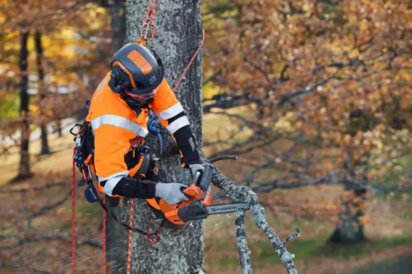 Бензопила Husqvarna T525 (9707375-10) изображение 5