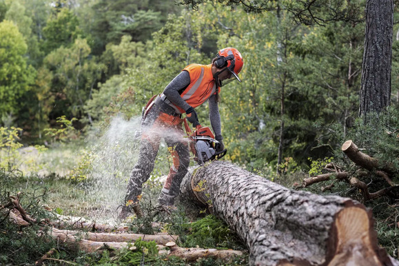 Ланцюг Husqvarna X-CUT C33, 18"/45 см, 0.325", 1.3 мм, 72DL (5856411-72) Фото 6
